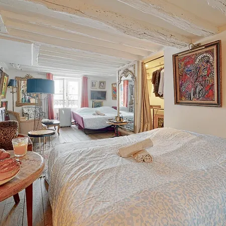 Appartement Musée Louvre Et D'orsay - D'artiste *